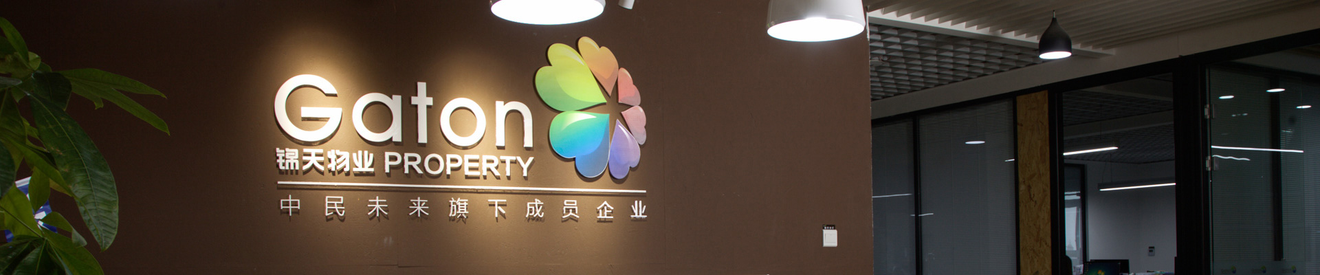 心流计划